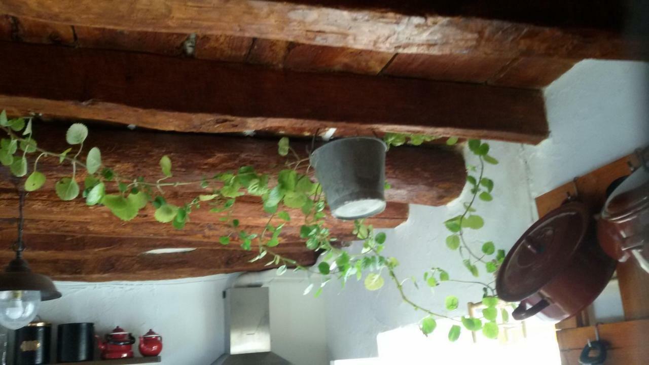 La Casa De La Acequia Guest House Serón Екстериор снимка