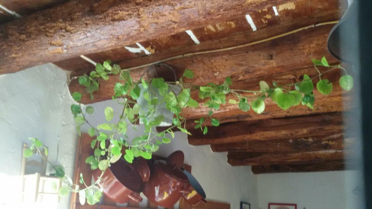 La Casa De La Acequia Guest House Serón Екстериор снимка